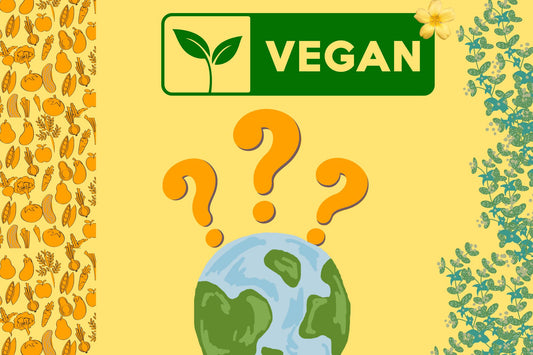 Why Vegan Food? Our Top Reasons For Cooking Vegan